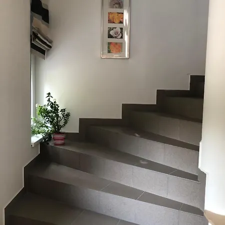 Dominik Apartmanhaz Apartament Velence