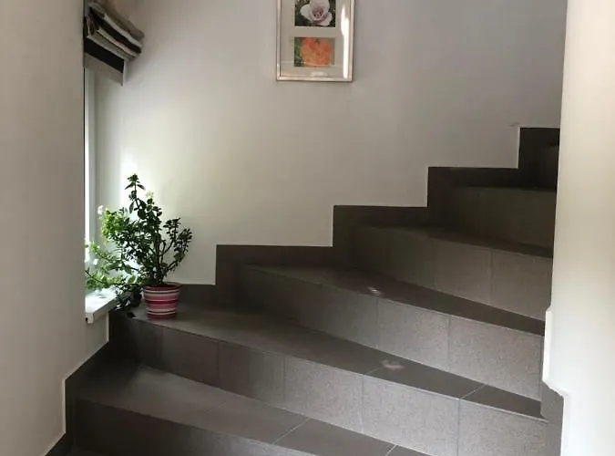 Dominik Apartamento Velence